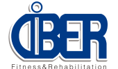 CIBER